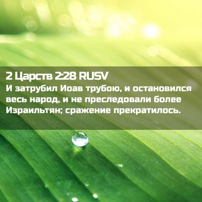 Picture 02 - 2 Царств 2:28 RUSV - И затрубил Иоав трубою, и - Bible Verse Picture