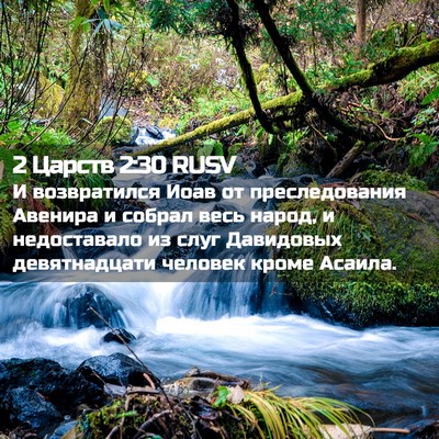 Picture 02 - 2 Царств 2:30 RUSV - И возвратился Иоав от - Bible Verse Picture