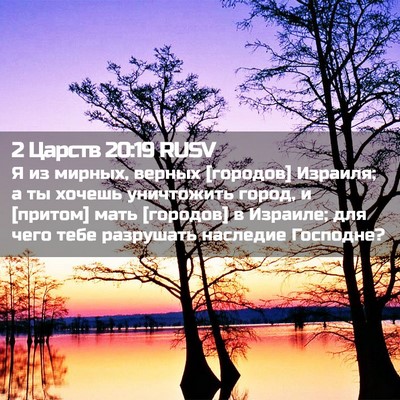Picture 02 - 2 Царств 20:19 RUSV - Я из мирных, верных - Bible Verse Picture