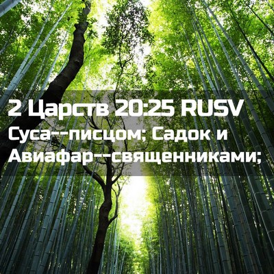 Picture 02 - 2 Царств 20:25 RUSV - Суса--писцом; Садок и - Bible Verse Picture