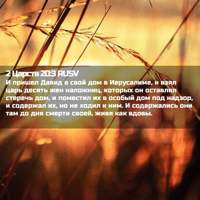 Picture 02 - 2 Царств 20:3 RUSV - И пришел Давид в свой дом в - Bible Verse Picture
