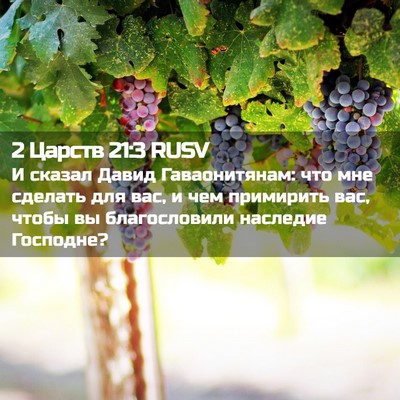 Picture 02 - 2 Царств 21:3 RUSV - И сказал Давид - Bible Verse Picture