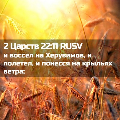 Picture 02 - 2 Царств 22:11 RUSV - и воссел на Херувимов, и - Bible Verse Picture
