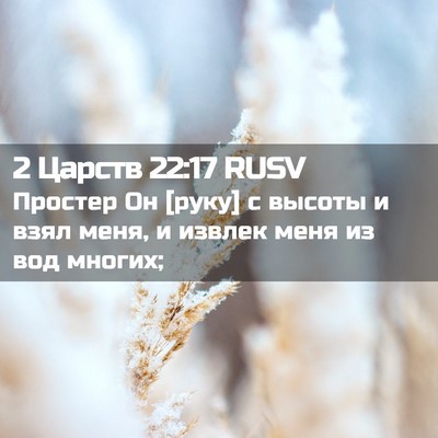 Picture 02 - 2 Царств 22:17 RUSV - Простер Он [руку] с высоты и - Bible Verse Picture