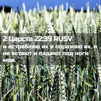 Picture 02 - 2 Царств 22:39 RUSV - и истребляю их и поражаю - Bible Verse Picture