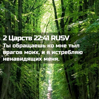 Picture 02 - 2 Царств 22:41 RUSV - Ты обращаешь ко мне тыл - Bible Verse Picture