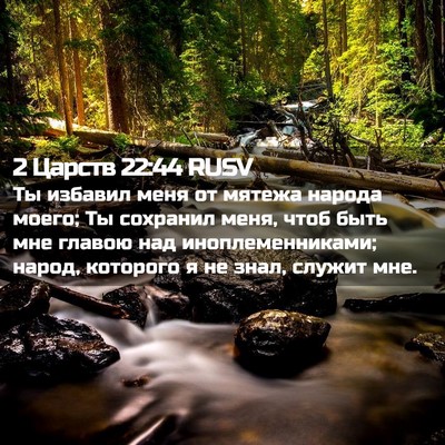 Picture 02 - 2 Царств 22:44 RUSV - Ты избавил меня от мятежа - Bible Verse Picture