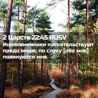 Picture 02 - 2 Царств 22:45 RUSV - Иноплеменники - Bible Verse Picture