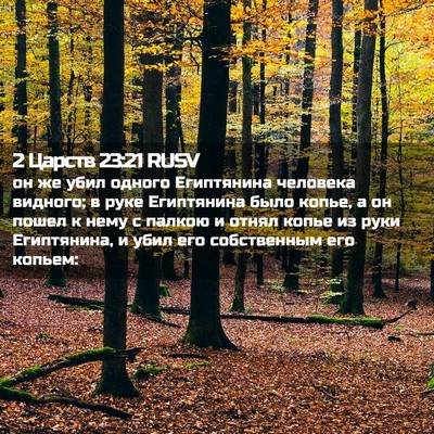Picture 02 - 2 Царств 23:21 RUSV - он же убил одного - Bible Verse Picture