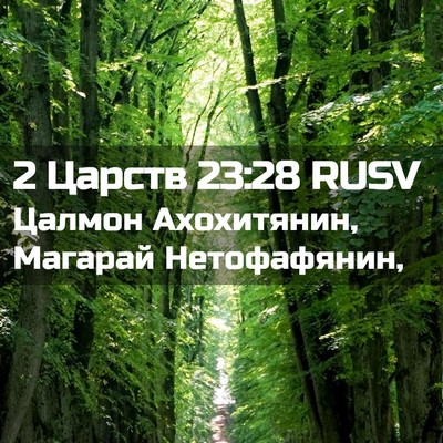 Picture 02 - 2 Царств 23:28 RUSV - Цалмон Ахохитянин, Магарай - Bible Verse Picture