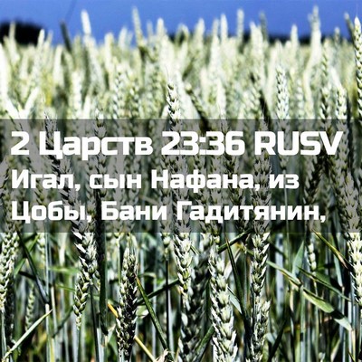 Picture 02 - 2 Царств 23:36 RUSV - Игал, сын Нафана, из Цобы, - Bible Verse Picture