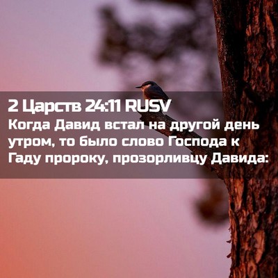 Picture 02 - 2 Царств 24:11 RUSV - Когда Давид встал на - Bible Verse Picture