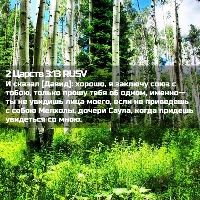Picture 02 - 2 Царств 3:13 RUSV - И сказал [Давид]: хорошо, я - Bible Verse Picture