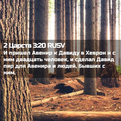 Picture 02 - 2 Царств 3:20 RUSV - И пришел Авенир к Давиду в - Bible Verse Picture