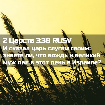 Picture 02 - 2 Царств 3:38 RUSV - И сказал царь слугам своим: - Bible Verse Picture