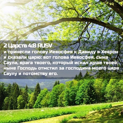 Picture 02 - 2 Царств 4:8 RUSV - и принесли голову Иевосфея - Bible Verse Picture