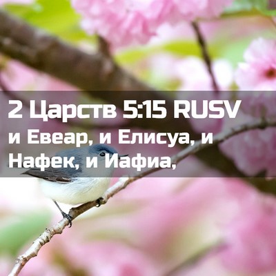 Picture 02 - 2 Царств 5:15 RUSV - и Евеар, и Елисуа, и Нафек, и - Bible Verse Picture