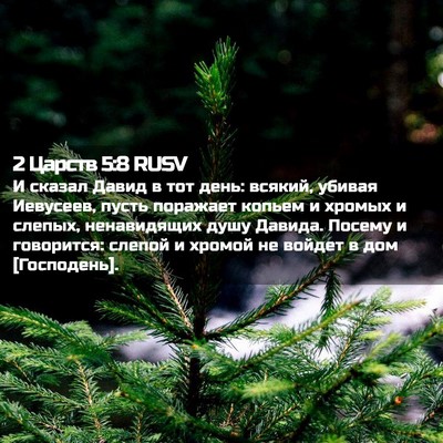 Picture 02 - 2 Царств 5:8 RUSV - И сказал Давид в тот день: - Bible Verse Picture
