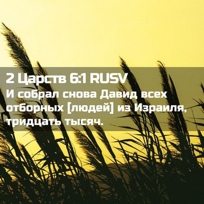 Picture 02 - 2 Царств 6:1 RUSV - И собрал снова Давид всех - Bible Verse Picture
