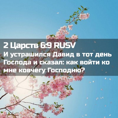 Picture 02 - 2 Царств 6:9 RUSV - И устрашился Давид в тот - Bible Verse Picture