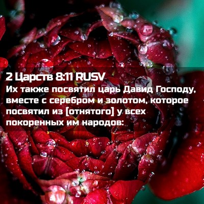 Picture 02 - 2 Царств 8:11 RUSV - Их также посвятил царь - Bible Verse Picture