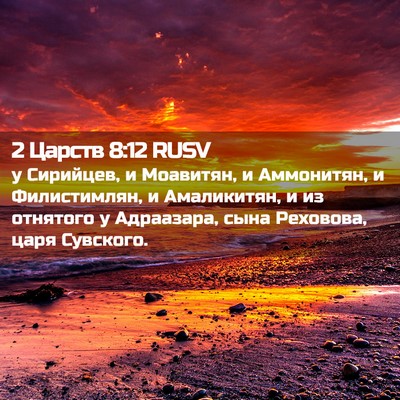 Picture 02 - 2 Царств 8:12 RUSV - у Сирийцев, и Моавитян, и - Bible Verse Picture