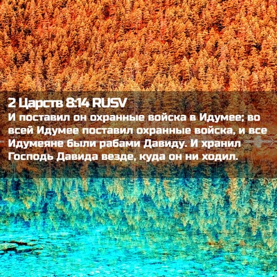 Picture 02 - 2 Царств 8:14 RUSV - И поставил он охранные - Bible Verse Picture
