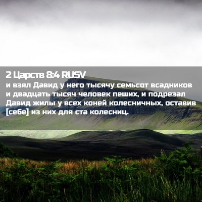 Picture 02 - 2 Царств 8:4 RUSV - и взял Давид у него тысячу - Bible Verse Picture