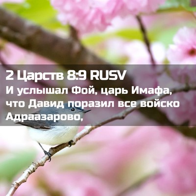 Picture 02 - 2 Царств 8:9 RUSV - И услышал Фой, царь Имафа, - Bible Verse Picture