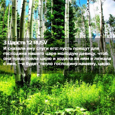 Picture 02 - 3 Царств 1:2 RUSV - И сказали ему слуги его: - Bible Verse Picture