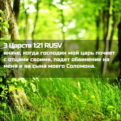 Picture 02 - 3 Царств 1:21 RUSV - иначе, когда господин мой - Bible Verse Picture