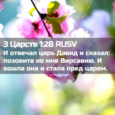 Picture 02 - 3 Царств 1:28 RUSV - И отвечал царь Давид и - Bible Verse Picture