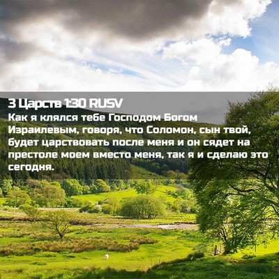 Picture 02 - 3 Царств 1:30 RUSV - Как я клялся тебе Господом - Bible Verse Picture