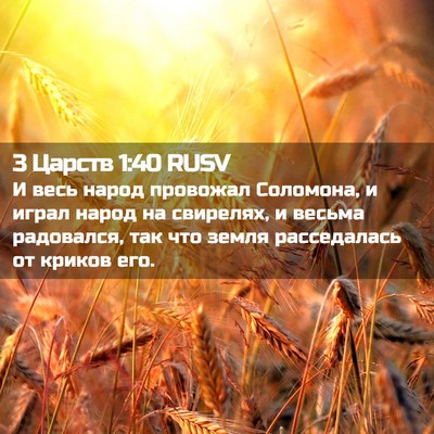 Picture 02 - 3 Царств 1:40 RUSV - И весь народ провожал - Bible Verse Picture