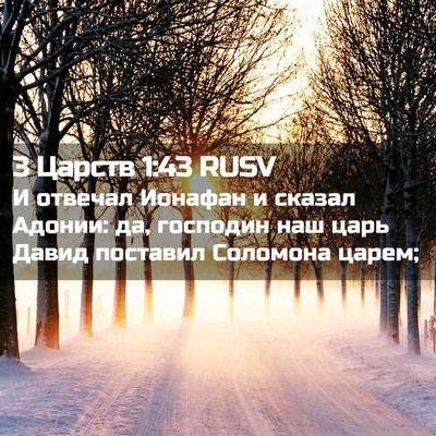 Picture 02 - 3 Царств 1:43 RUSV - И отвечал Ионафан и сказал - Bible Verse Picture