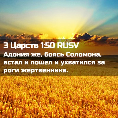 Picture 02 - 3 Царств 1:50 RUSV - Адония же, боясь Соломона, - Bible Verse Picture
