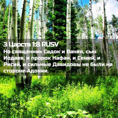 Picture 02 - 3 Царств 1:8 RUSV - Но священник Садок и Ванея, - Bible Verse Picture
