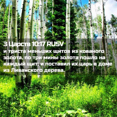 Picture 02 - 3 Царств 10:17 RUSV - и триста меньших щитов из - Bible Verse Picture