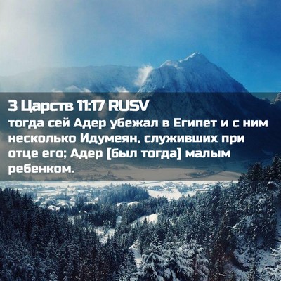 Picture 02 - 3 Царств 11:17 RUSV - тогда сей Адер убежал в - Bible Verse Picture