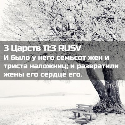 Picture 02 - 3 Царств 11:3 RUSV - И было у него семьсот жен и - Bible Verse Picture