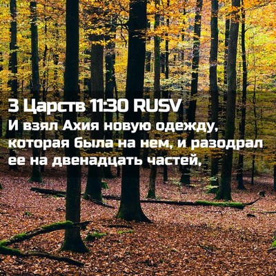 Picture 02 - 3 Царств 11:30 RUSV - И взял Ахия новую одежду, - Bible Verse Picture