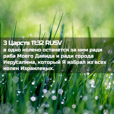 Picture 02 - 3 Царств 11:32 RUSV - а одно колено останется за - Bible Verse Picture