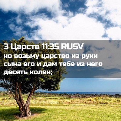 Picture 02 - 3 Царств 11:35 RUSV - но возьму царство из руки - Bible Verse Picture