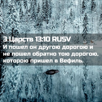Picture 02 - 3 Царств 13:10 RUSV - И пошел он другою дорогою и - Bible Verse Picture