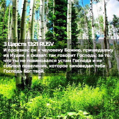 Picture 02 - 3 Царств 13:21 RUSV - И произнес он к человеку - Bible Verse Picture