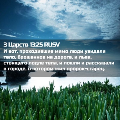 Picture 02 - 3 Царств 13:25 RUSV - И вот, проходившие мимо - Bible Verse Picture