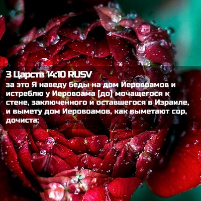 Picture 02 - 3 Царств 14:10 RUSV - за это Я наведу беды на дом - Bible Verse Picture