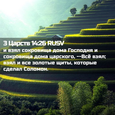 Picture 02 - 3 Царств 14:26 RUSV - и взял сокровища дома - Bible Verse Picture