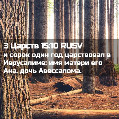 Picture 02 - 3 Царств 15:10 RUSV - и сорок один год - Bible Verse Picture