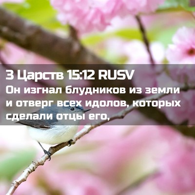 Picture 02 - 3 Царств 15:12 RUSV - Он изгнал блудников из - Bible Verse Picture